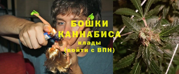 соль ск Волосово