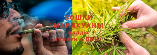 соль ск Волосово